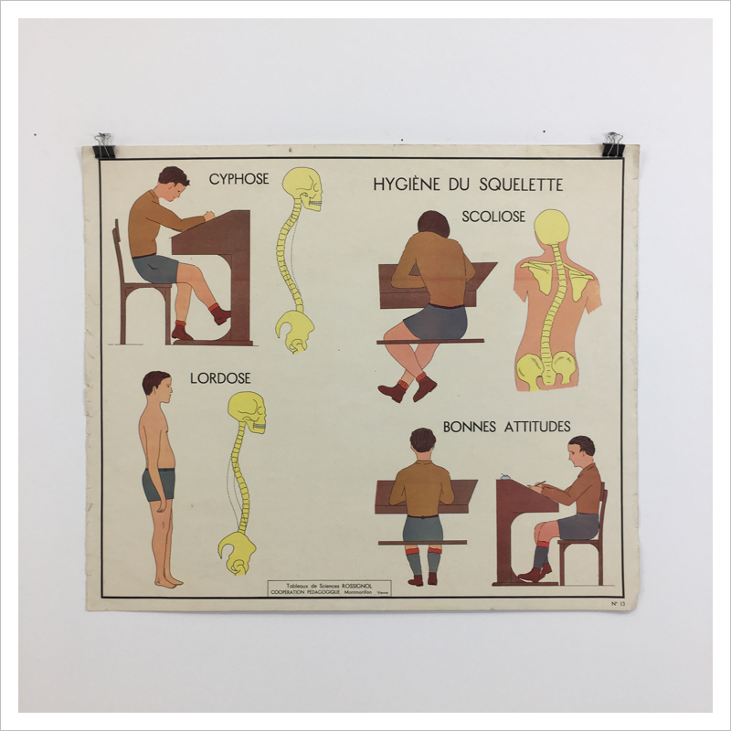 French Rossignol Vintage Anatomical Chart