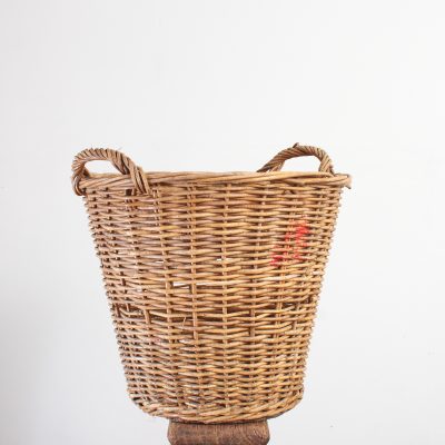 Vintage Champagne Harvest Log Basket - B